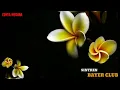 Download Lagu GENDING SINTREN || VERSI BAYER CLUB PAJARESUK - PRINGSEWU