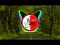 DJ ANJING-ANJING BANGET || DJ TIKTOK VIRAL 2020
