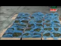 Download Lagu Khat smuggling – an alarming problem in Vietnam