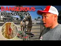 Tractor Supply Round Pen Horror When Safe Spaces Turn Dangerous for Horses