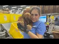 Amazon Fulfillment Center - Pack Single