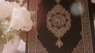 سورة الجن بصوت الشيخ محمد صديق المنشاوي بدون اعلانات 