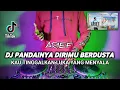 Download Lagu DJ PANDAINYA DIRIMU BERDUSTA - ARIEF PANDAINYA DIRIMU KINI BERDUSTA FULL BASS TERBARU