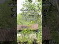 Download Lagu wong ra ndue #shortvideo #storywa #storyharian #katakata #sad #viralvideo #rumah #masukberanda #fyp