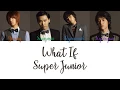Download Lagu Super Junior What If Lyrics MP3