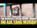 Download Lagu NGAPAIN BELI BURUNG CUCAK ROWO ! MAHAL ! MENDINGAN BURUNG INI AJA YANG MURAH !