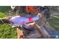 What s inside a Bowling Pin