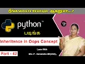 Learn Python - Part 42 Inheritance in Oops Concept in Python