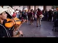 Trio Eco Potosino - El Querreque