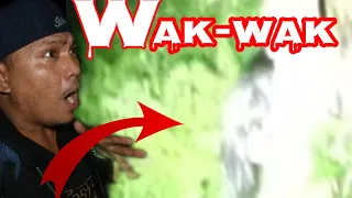 Download WAK-WAK MP3