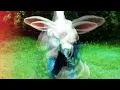 White Rabbit (Original Mix) - Andrea Guadalupi