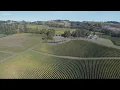 Yamhill County wineries to reopen indoor tasting rooms