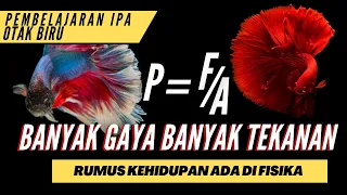 Download MAKIN BANYAK GAYA MAKIN TERTEKAN, RUMUS HIDUP ADA DI FISIKA! MP3