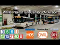 White Plains TransCenter PM Bus Action - Bee Line ShortLine CT Transit Hudson Link Leprechaun