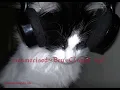 mesmerised~Bru C (Sped up)