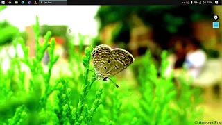 Selenium Java Training Trial Class 5 Whizdom Trainings