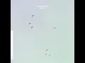 Flight - Lycoriscoris