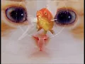 GOLDFISH BOWL BLUES by TONY SPINNER
