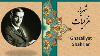 Persian Poetry Shahriar I Wish God English Subtitle شعر فارسی شهریار کاش یا رب 