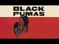 Lagu black pumas - aint no love in the heart of the city
