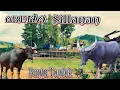 Download Lagu Kesiapan Arena sillanan ponglu Buntu Tondok