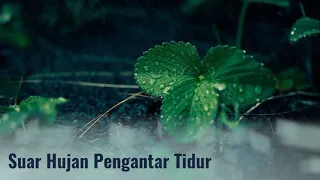 Download SUARA HUJAN PENGANTAR TIDUR, 5 MENIT MP3