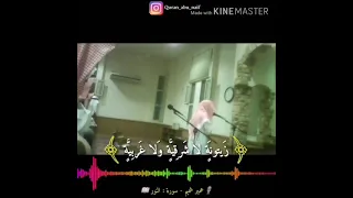Umair Shamim ابداع القارئ عمير شميم ما تيسرسـورة النور 