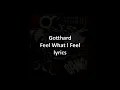 Gotthard - Feel What I Feel with lyrics