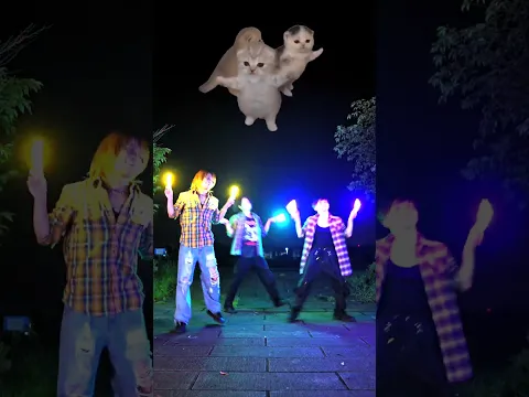 大バズりしてるねこ3匹とヲタ芸コラボ！【若丸シュンほーくあい】#shorts