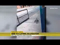Alligator spotted outside Augusta store