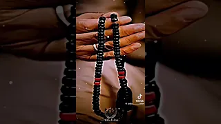 Https Www Youtube Com Watch V T1tw976LdM T 0s 