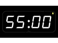 55 MINUTE - TIMER ALARM