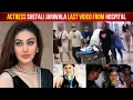 Download Lagu Kaanta Laga Girl Shefali Jariwala Passes Away At The Age Of 42 | 42में सेफाली जरीवाला का दिल का दौरा