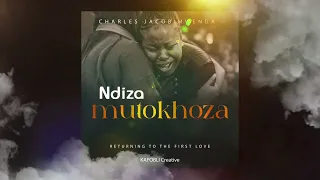 ndiza mutokhoza bwanji