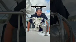 Found a stow away onboard