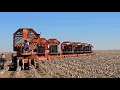 Lagu Allis Cotton Days 2025 Field Footage