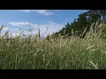 O To Be Loved (Instrumental) - draw close