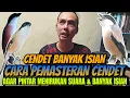 Download Lagu BEGINI CARANYA ⁉️ TIPS PEMASTERAN CENDET AGAR BANYAK ISIAN || TIPS CENDET