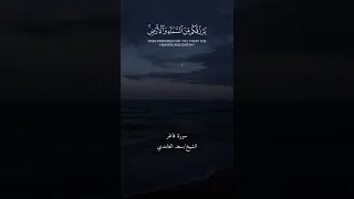 القارئ الشيخ سعد الغامدي 