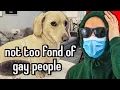 Homophobia is funny Actually