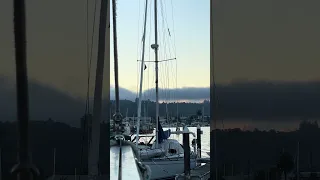 Daily life with a Doberman on a boat.. #fyp #dream #doberman #pets #youtube