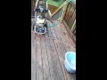 OLYMPIC VS BEHR DECK CLEANER