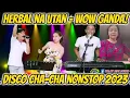 Download Lagu HERBAL NA UTAN | WOW GANDA! DISCO CHA - CHA NONSTOP 2023 - RANDY, REA \u0026 ROMEL FT. ZALDY MINI SOUND