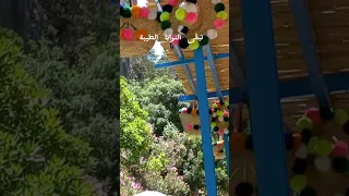 النية الطيبة ترتب لصاحبها أجمل الأقدار 