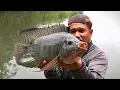 Download Lagu Dibawah Rumput ikan Nila Babon bersembunyi saat mancing di sungai berulang kali joran di tarik masuk