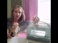 Cuttlebug Demo