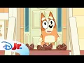 Bingo Sings and Counts Pinecones from Ten to Zero Bluey Minisode Green Bottles disneyjr