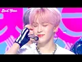 Download Lagu [4K] EPEX (이펙스) 여우가 시집가는날 (Sunshower) 교차편집 (StageMix)