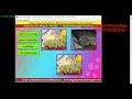 Hiding Secret Image In Image Using Python Code Image Steganography Using Python Project Code