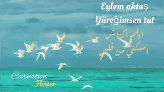 عروس اسطنبول امسكني من قلبي دندنها